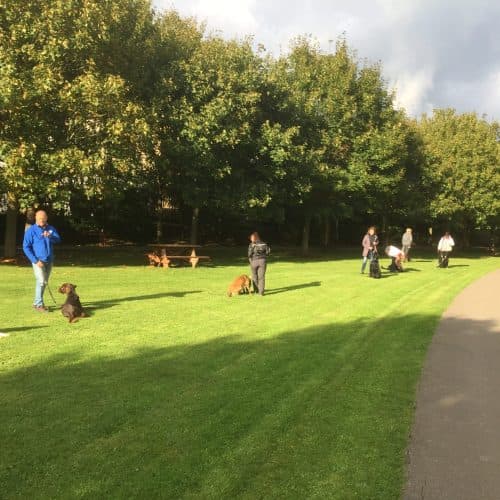 Dog-walking