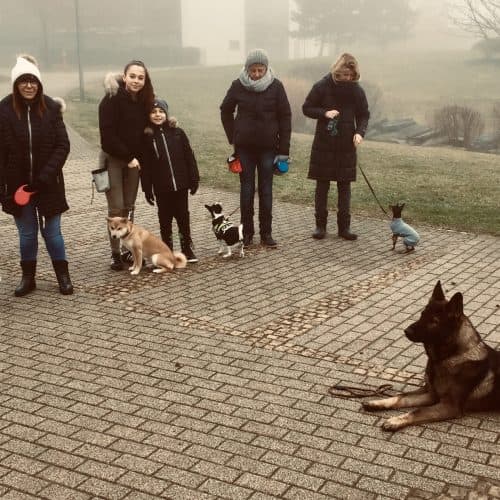 Dog-walking