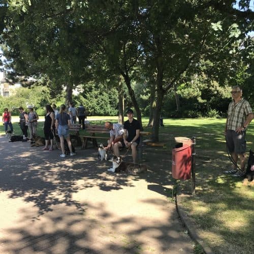 Entraînement du chien … et du maître